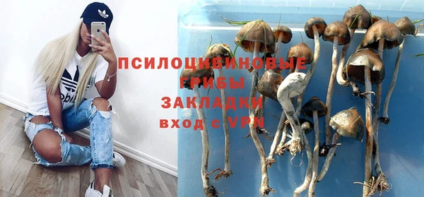 герыч Алзамай
