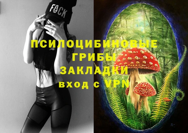 герыч Алзамай