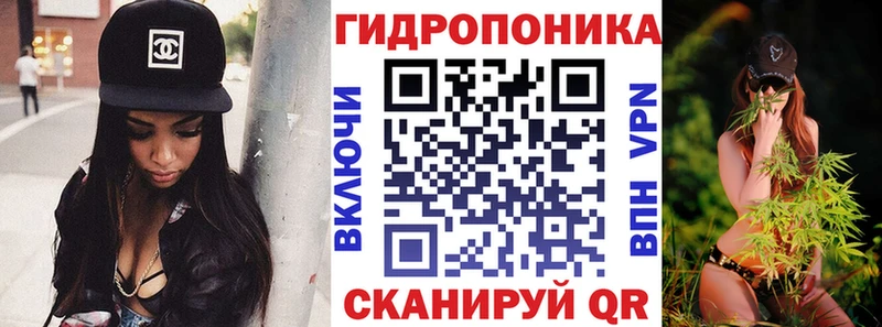 Канабис семена  Пугачёв 